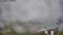 ./images/calvert/lookout/20260317/lookout20260317_084001M.jpg