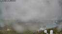 ./images/calvert/lookout/20260317/lookout20260317_085501M.jpg
