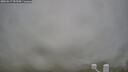 ./images/calvert/lookout/20260317/lookout20260317_093502M.jpg