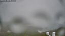 ./images/calvert/lookout/20260317/lookout20260317_113501M.jpg