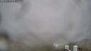 ./images/calvert/lookout/20260317/lookout20260317_131501M.jpg