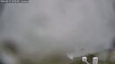 ./images/calvert/lookout/20260317/lookout20260317_133501M.jpg
