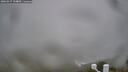 ./images/calvert/lookout/20260317/lookout20260317_134001M.jpg