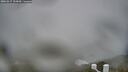 ./images/calvert/lookout/20260317/lookout20260317_134501M.jpg