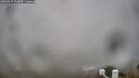 ./images/calvert/lookout/20260317/lookout20260317_142001M.jpg