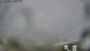 ./images/calvert/lookout/20260317/lookout20260317_174501M.jpg