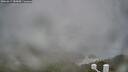 ./images/calvert/lookout/20260317/lookout20260317_185001M.jpg