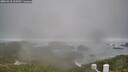 ./images/calvert/lookout/20260318/lookout20260318_135001M.jpg