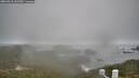 ./images/calvert/lookout/20260318/lookout20260318_135501M.jpg