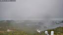 ./images/calvert/lookout/20260318/lookout20260318_140501M.jpg