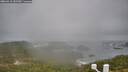 ./images/calvert/lookout/20260318/lookout20260318_152501M.jpg
