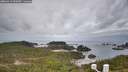 ./images/calvert/lookout/20260319/lookout20260319_090502M.jpg