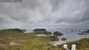 ./images/calvert/lookout/20260319/lookout20260319_094001M.jpg