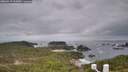 ./images/calvert/lookout/20260319/lookout20260319_112001M.jpg
