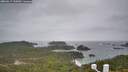 ./images/calvert/lookout/20260319/lookout20260319_133001M.jpg