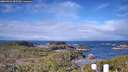 ./images/calvert/lookout/20260321/lookout20260321_095501M.jpg