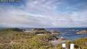 ./images/calvert/lookout/20260321/lookout20260321_102001M.jpg