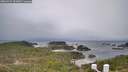 ./images/calvert/lookout/20260321/lookout20260321_122002M.jpg