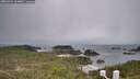 ./images/calvert/lookout/20260321/lookout20260321_124001M.jpg