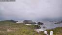./images/calvert/lookout/20260321/lookout20260321_125501M.jpg