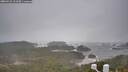 ./images/calvert/lookout/20260322/lookout20260322_113501M.jpg
