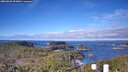 ./images/calvert/lookout/20260328/lookout20260328_093002M.jpg