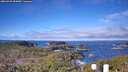 ./images/calvert/lookout/20260328/lookout20260328_094001M.jpg