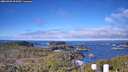 ./images/calvert/lookout/20260328/lookout20260328_094501M.jpg