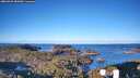 ./images/calvert/lookout/20260329/lookout20260329_082002M.jpg