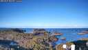 ./images/calvert/lookout/20260329/lookout20260329_082501M.jpg