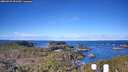 ./images/calvert/lookout/20260329/lookout20260329_091501M.jpg