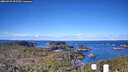 ./images/calvert/lookout/20260329/lookout20260329_092501M.jpg