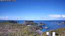 ./images/calvert/lookout/20260329/lookout20260329_101501M.jpg
