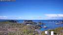 ./images/calvert/lookout/20260329/lookout20260329_102001M.jpg