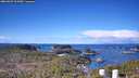 ./images/calvert/lookout/20260329/lookout20260329_103501M.jpg
