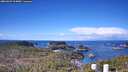 ./images/calvert/lookout/20260329/lookout20260329_104001M.jpg