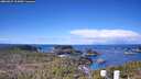 ./images/calvert/lookout/20260329/lookout20260329_104501M.jpg