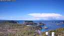 ./images/calvert/lookout/20260329/lookout20260329_105001M.jpg