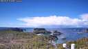 ./images/calvert/lookout/20260329/lookout20260329_111001M.jpg