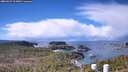 ./images/calvert/lookout/20260329/lookout20260329_113001M.jpg