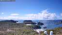 ./images/calvert/lookout/20260329/lookout20260329_141001M.jpg