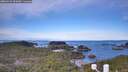 ./images/calvert/lookout/20260331/lookout20260331_090501M.jpg