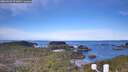 ./images/calvert/lookout/20260331/lookout20260331_091001M.jpg