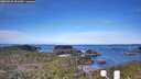./images/calvert/lookout/20260331/lookout20260331_091501M.jpg