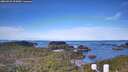 ./images/calvert/lookout/20260331/lookout20260331_092001M.jpg
