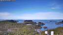 ./images/calvert/lookout/20260331/lookout20260331_092501M.jpg