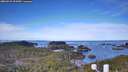 ./images/calvert/lookout/20260331/lookout20260331_093001M.jpg