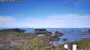 ./images/calvert/lookout/20260331/lookout20260331_093501M.jpg