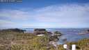 ./images/calvert/lookout/20260331/lookout20260331_101002M.jpg