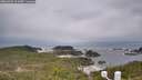 ./images/calvert/lookout/20260401/lookout20260401_101002M.jpg